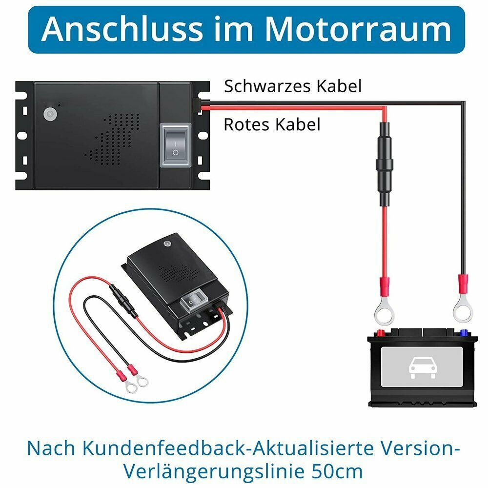 Bild 2 von 12