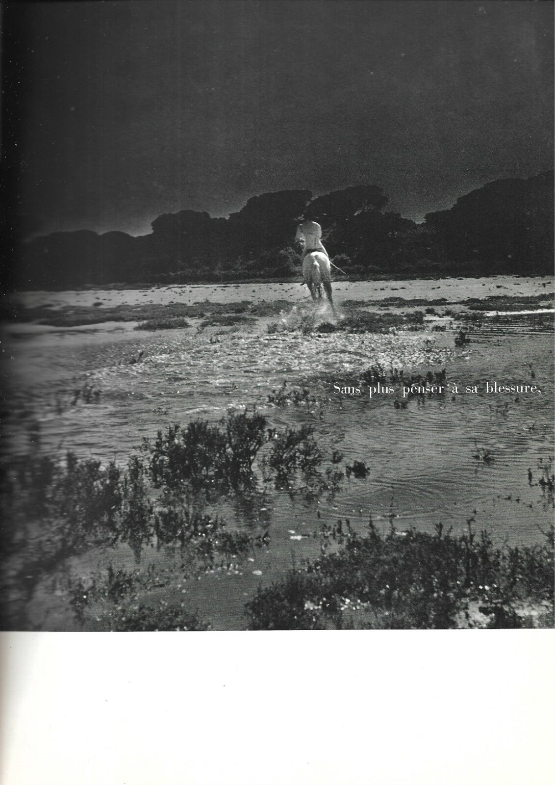 Picture 7 of 12