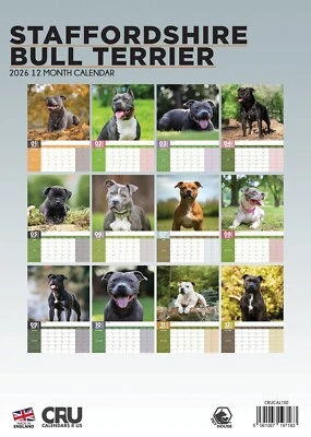 Staffordshire Bull Terrier Dog 2026 A3 Calendar