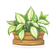 Vinyl Sticker Die Cut Variegated Hosta Decal Houseplant Wooden Planter Journal