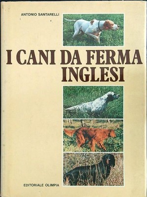 DIE ENGLISCHEN HUNDE SANTARELLI ANTONIO OLYMPIA VERLAG 1981 \