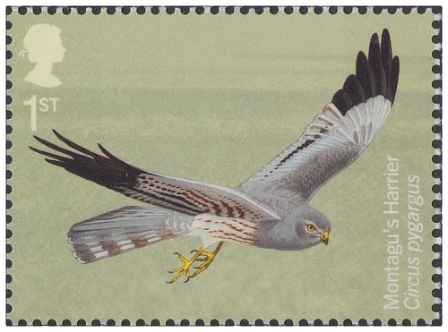 Japan commemorative postmark, 2019 new era bird 50y (jca761) | eBay