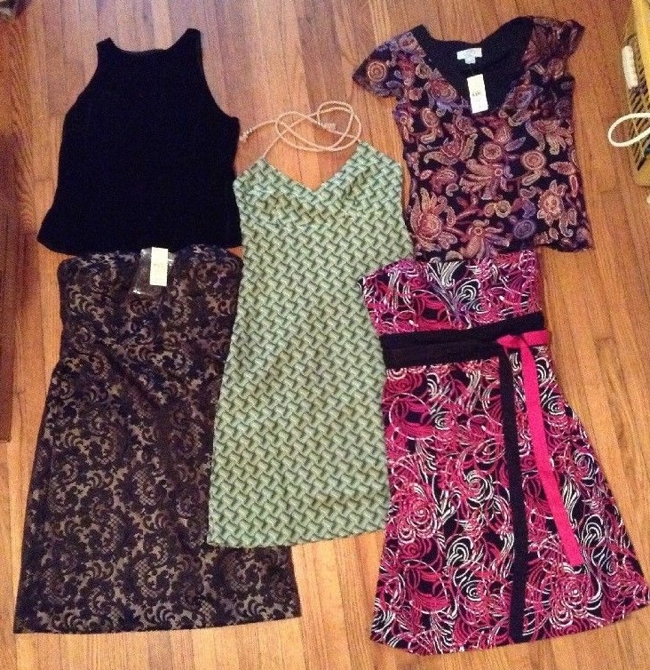 ANN TAYLOR LOFT Womens Size 0 Petite Shirts Dresses Lot of 5 ANN TAYLOR LOFT Womens Size 0 Petite Shirts Dresses Lot of 5