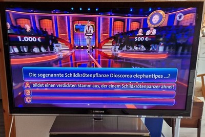 Samsung LED TV 46 ZOLL  UE46C6700 gebraucht full HD 1080p
