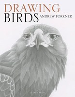 Drawing Birds | Andrew Forkner | Englisch | Taschenbuch | 2018