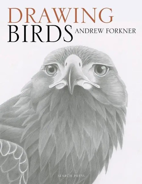 Drawing Birds | Andrew Forkner | Englisch | Taschenbuch | 2018-image
