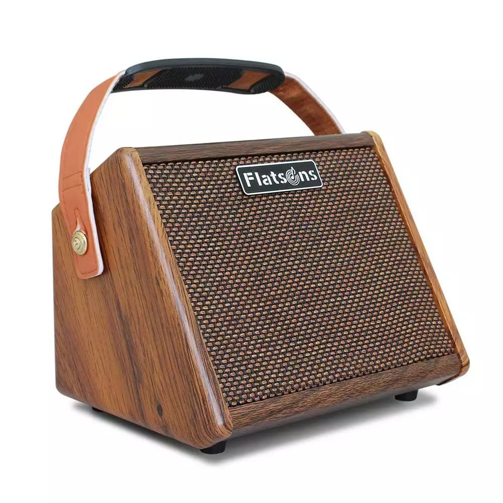 Flatsons cheap mini amp