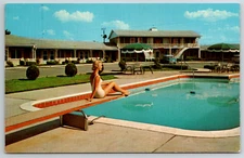 c1960s Horse Cave Motel Kentucky Pool Vintage Postcard