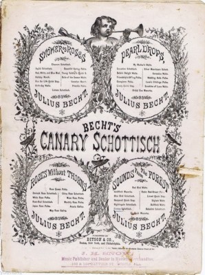 Canary Schottisch, Julius Becht, Sounds From The Forest 1864 antique sheet music