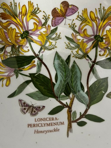 Port Meirion Botanic Garden Honeysuckle 10" SALAD OR MIXING BOWL England Vintage - Picture 3 of 6