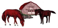 stallion horse animal heat transfer iron on not embroidered 6.5  inch USA
