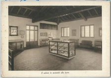 73129 - Vintage postcard LECCO City - CIVIC MUSEUMS 