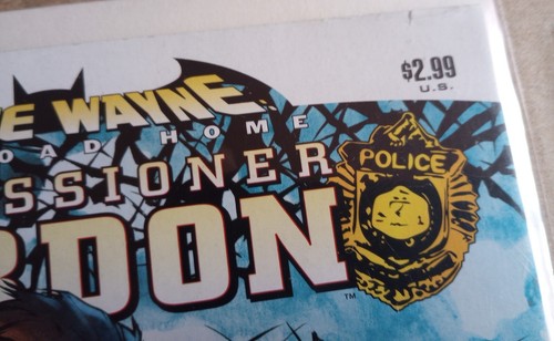 DC Comics Bruce Wayne The Road Home Lote de 1 disparo Catwoman Commiss Gordon Outsiders - Imagen 11 de 14