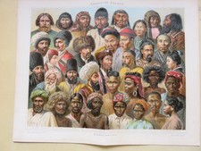 3 antykwaryczne obrazki "Fauna etiopska. Ludy Azji i Oceanii"