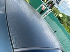 Dodge Challenger SRT Hellcat Black Ghost Roof Panel Gator Skin Applique Mopar