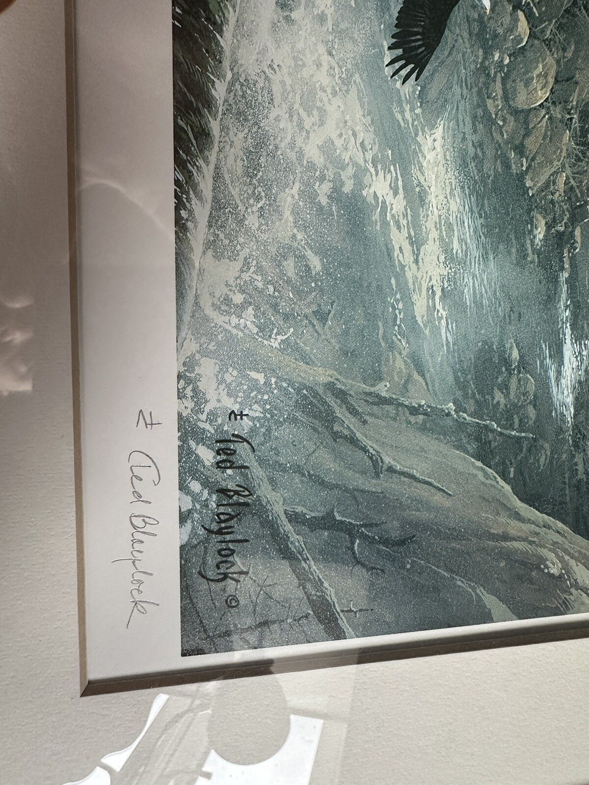 Picture 4 of 7