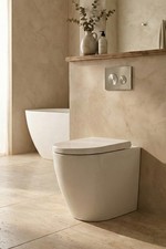 Seval Flat Rimless Wall Faced Pan with R&T Inwall Cistern - K107N