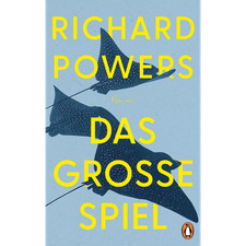 Das große Spiel: Roman. »Was für ein Roman...