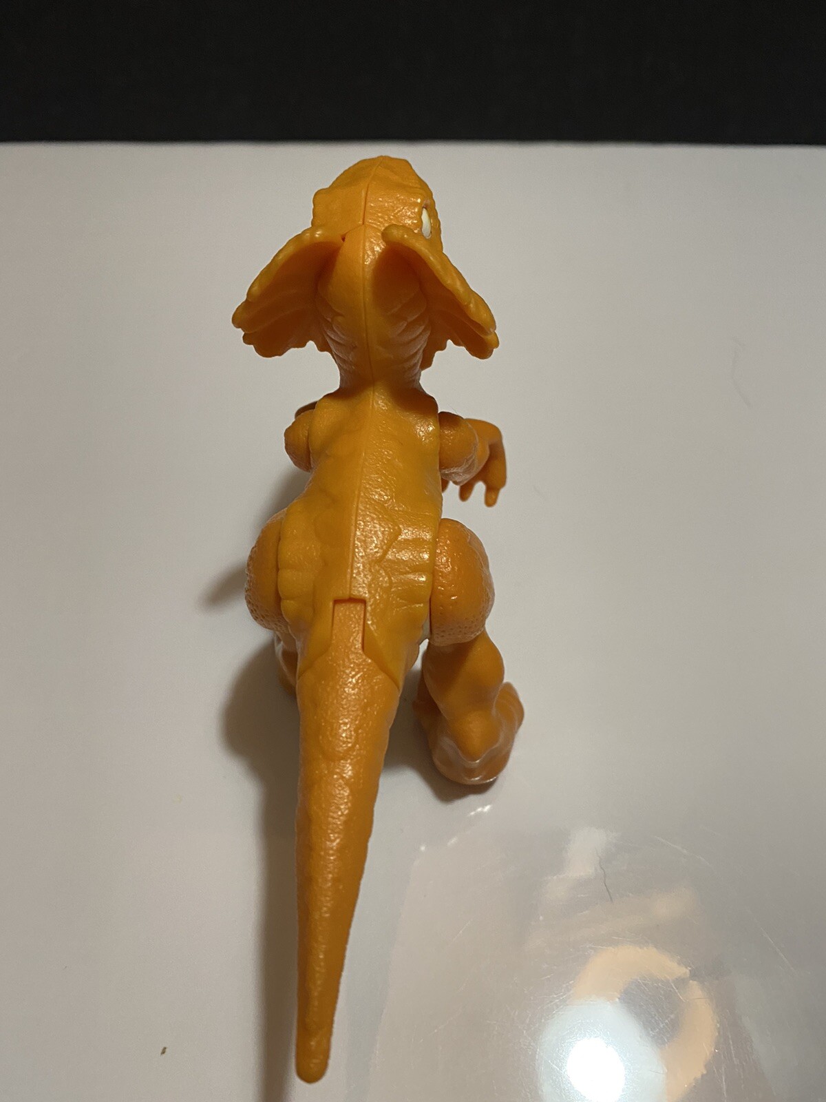 Picture 5 of 5