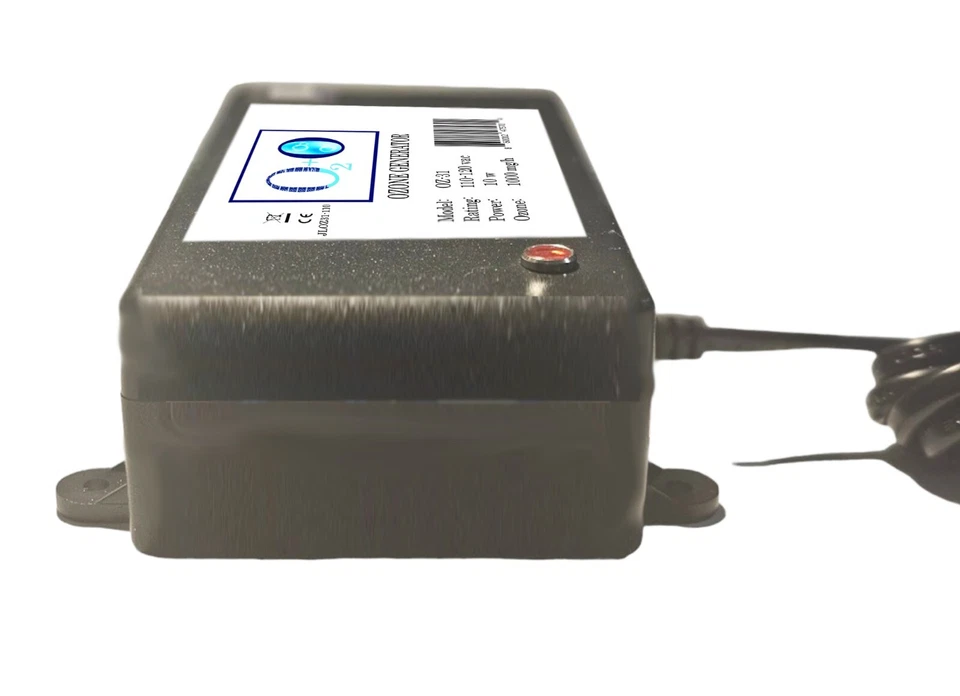 Generador de ozono para bañera de inmersión en frío baño de hielo, generador de ozono 1000 mg/h para hielo  Foto 4 de 4