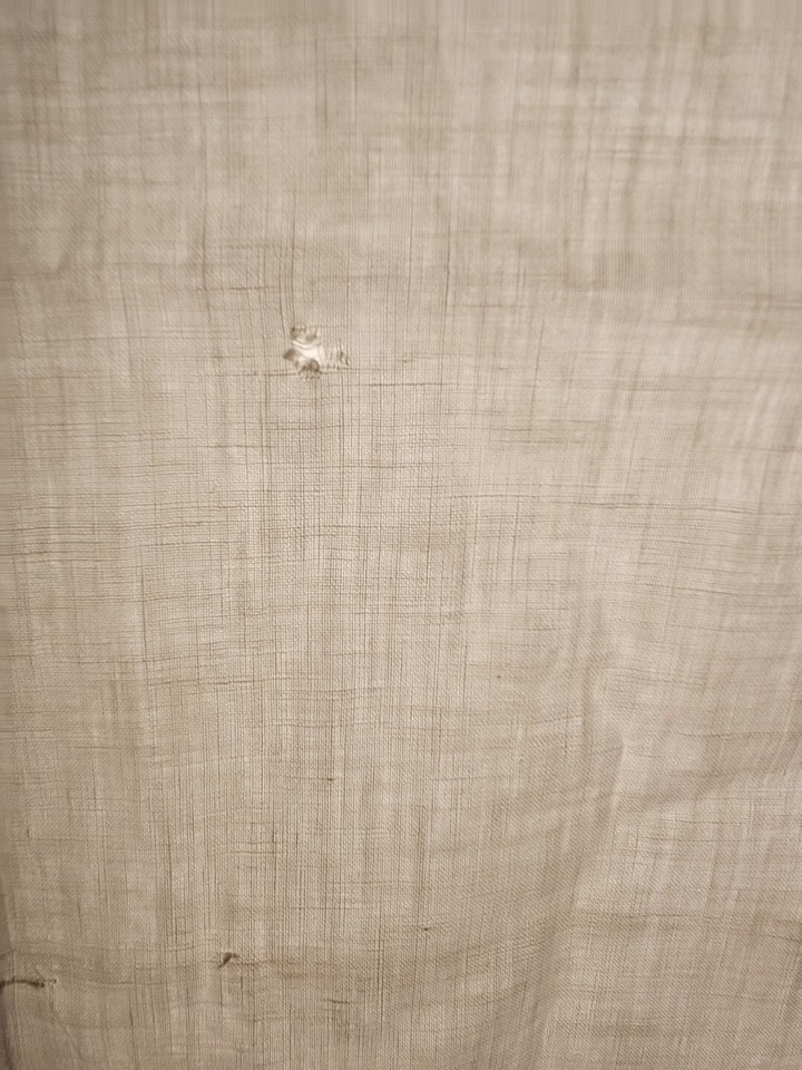 Pair of 2 Vintage Embroidered Crochet Edged Pillowcases Swan & Floral