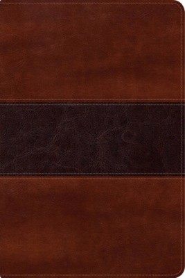 Rvr 1960 Biblia del Pescador Letra Grande, Caoba Símil Piel [Spanish]