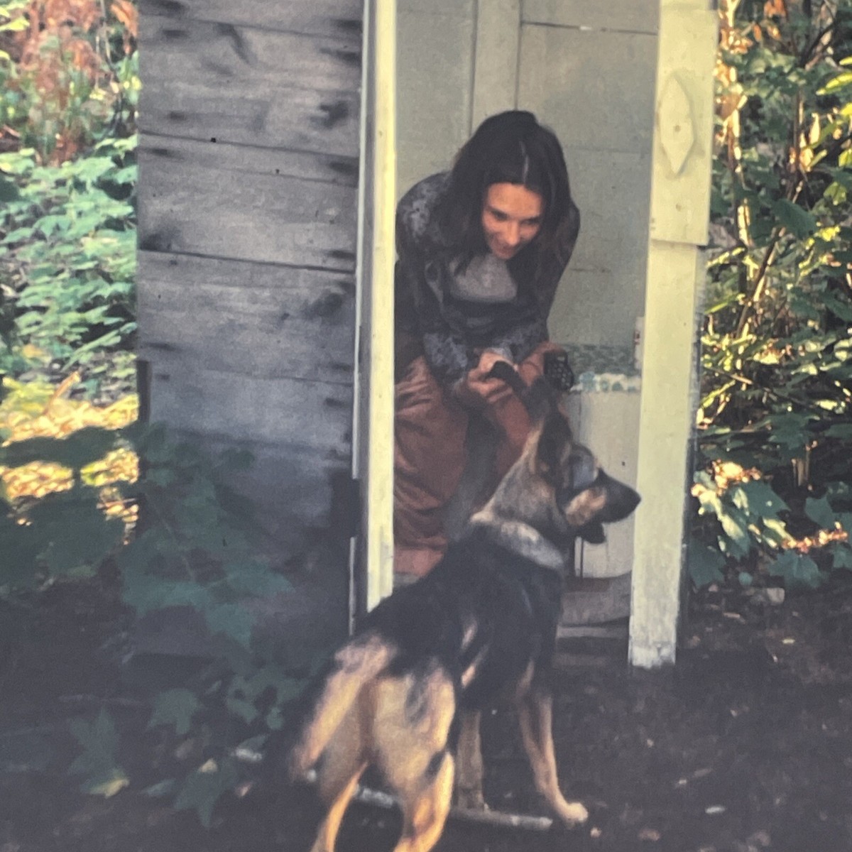 Vintage 1972 Woman Caught Reading In Outhouse 2