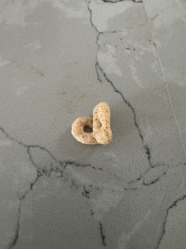 Cheerio that looks like the letter d,about 1/2 an inch tall and 1/2 an inch wide