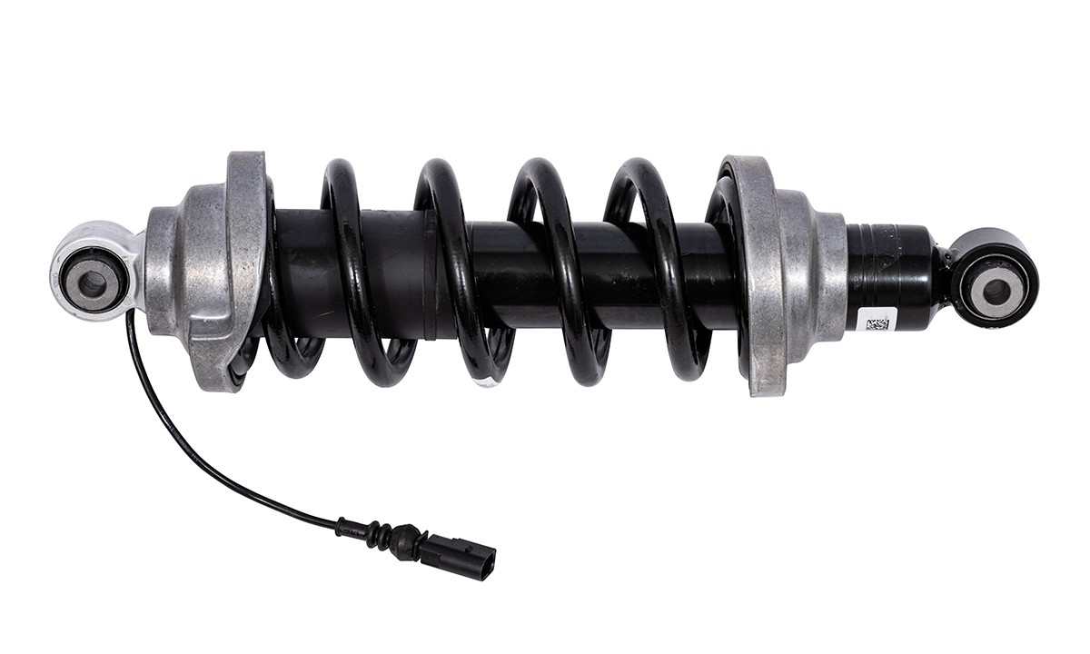 Premium OE-Replacement Rear Suspension Strut Assembly For 17-18 Audi R8