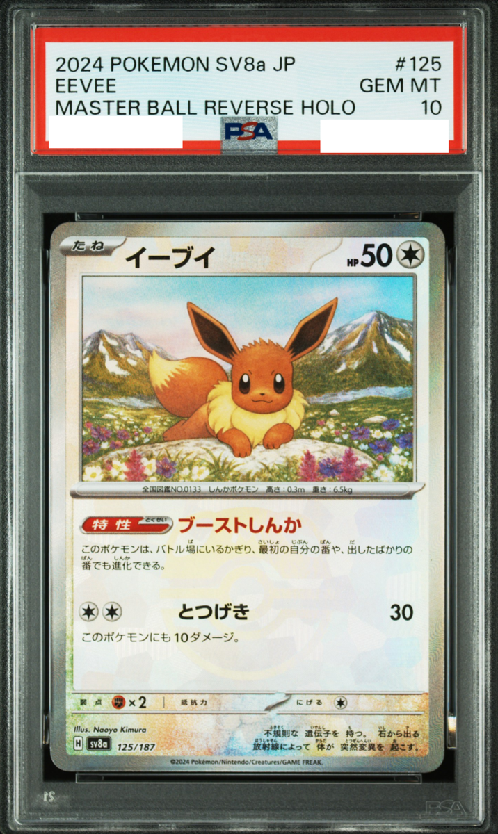 イーブイ　マスターボール　125/187 psa10 PSA 10 Eevee 125/187 Master Ball Holo Terastal Festival Pokemon