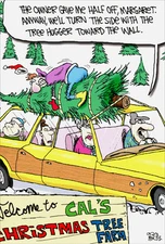 Tree Hugger 12 Funny Boxed Christmas Cards by Nobleworks