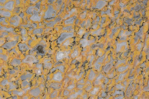 Gelbe achatisierte Dinosaurier Knochenplatte, Utah, EX Shirley Collection, 170 Gramm