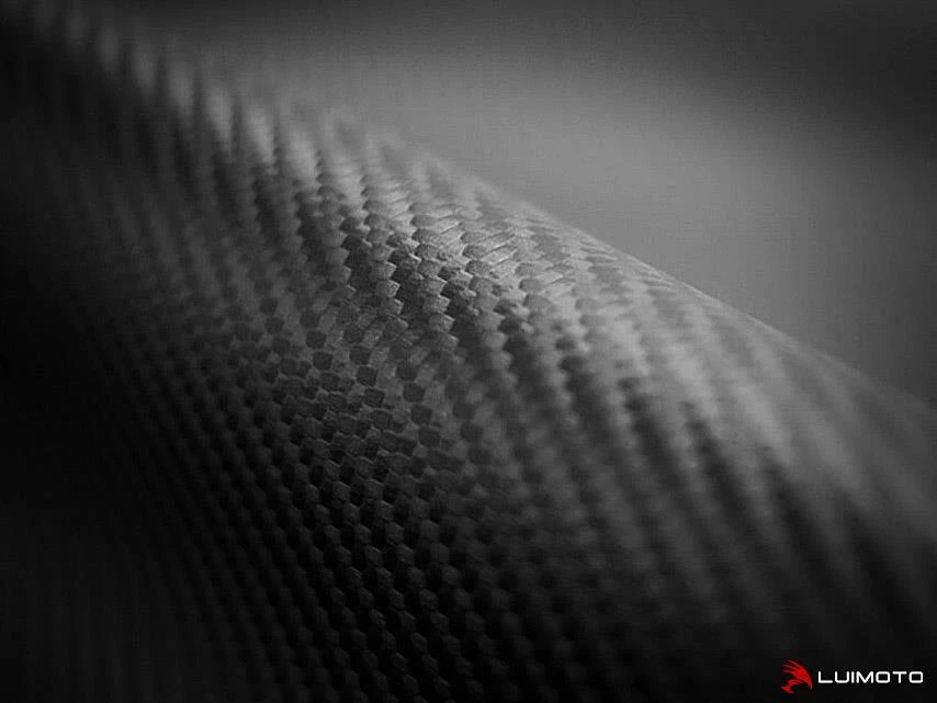 Cubierta de asiento Can-Am Spyder RS 2007-2012 2013 2014 2015 2016 plateada carbono Luimoto Foto 2 de 2