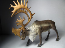2017 NEW Collecta Animal Toy / Figure Woodland Caribou