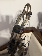 Bear Paradox 70 Pound Rt Hand