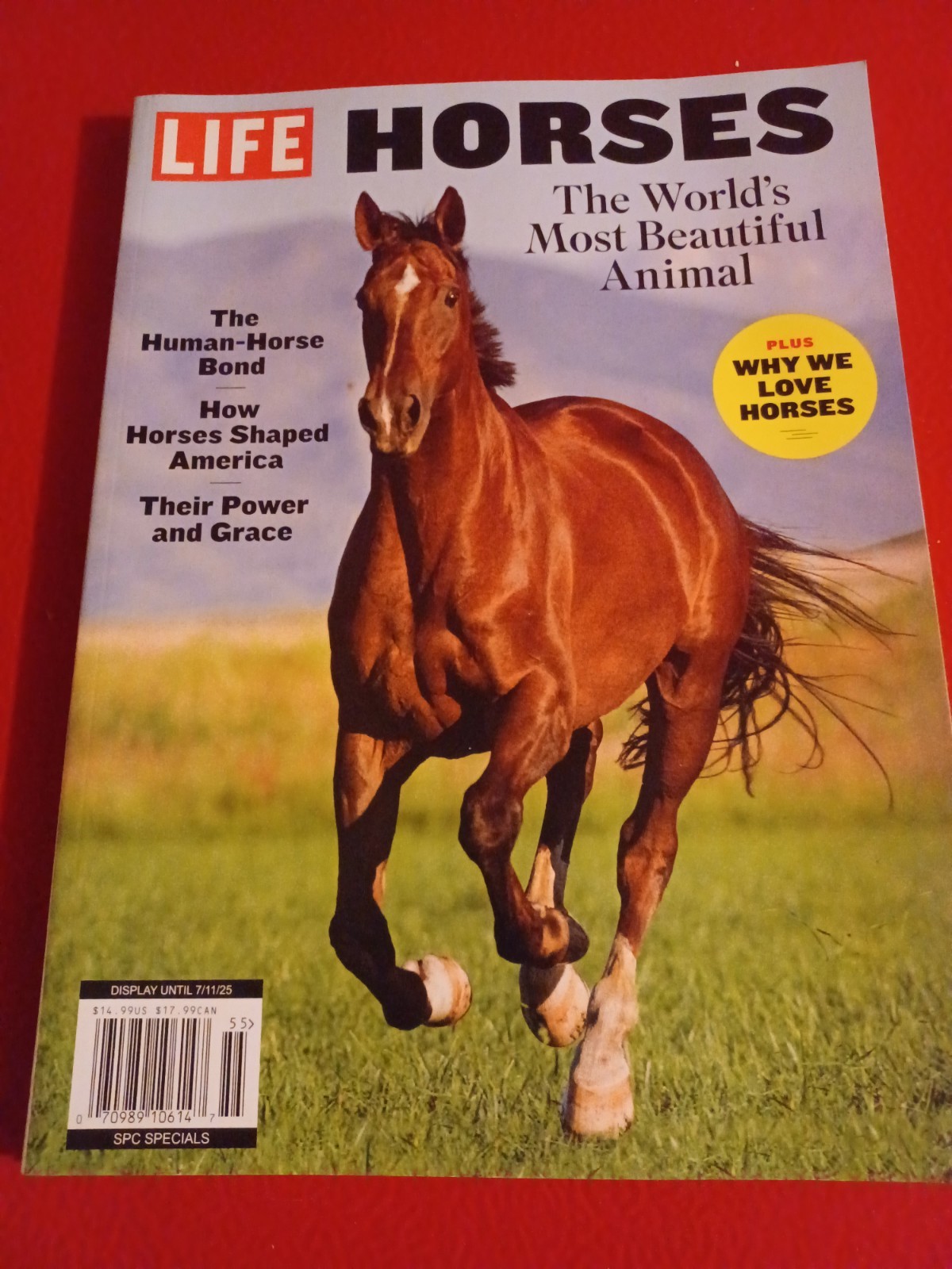 Life Magazine 