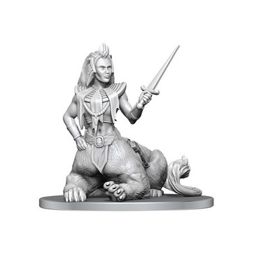 WizKids Dungeons & Dragons Nolzur's Marvelous Miniatures   Unpainted Figures   W
