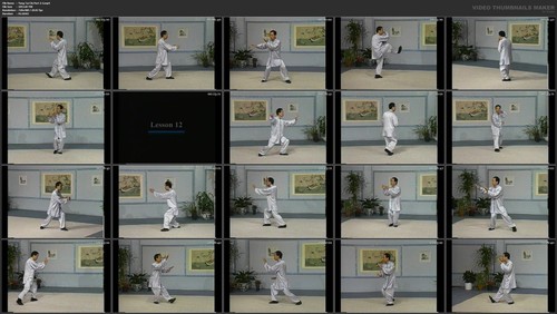 Yang & Sun Style's Tai Chi Chuan starring Master Wing Lam (9 DVD Set) - Picture 10 of 10