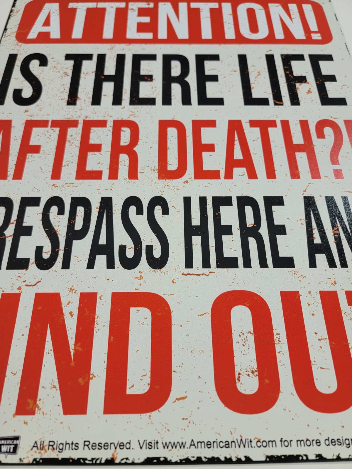 Attention Is There Life After Death? Trespass Here and Find Out" Sign 16" x  12" | eBay
