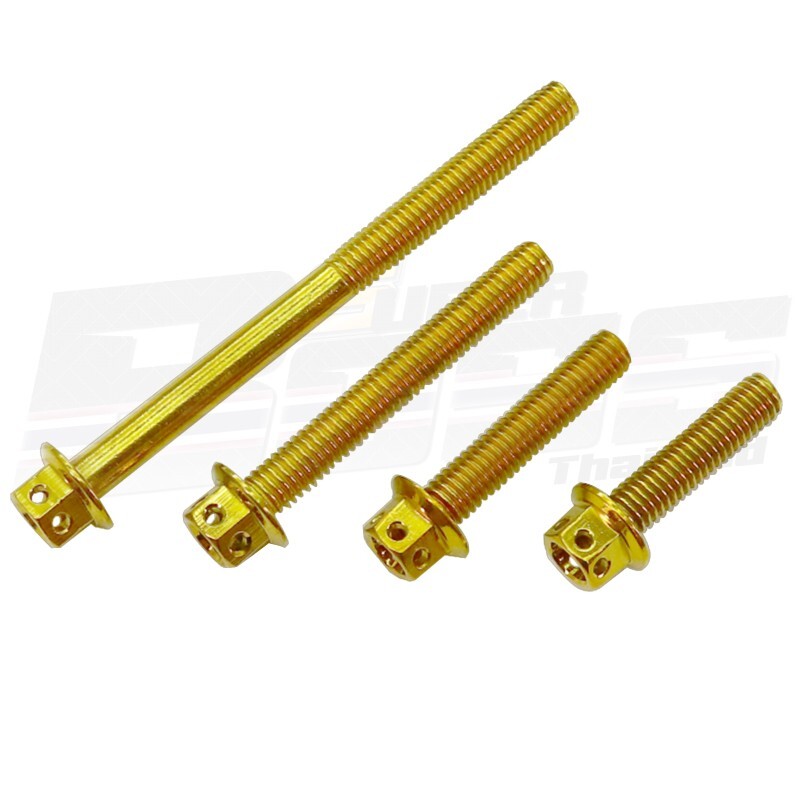 Burleigh おまとめ2点 oguraazuli Mahle Clevite Engine Cylinder Head Bolt Set GS33607; | eBay