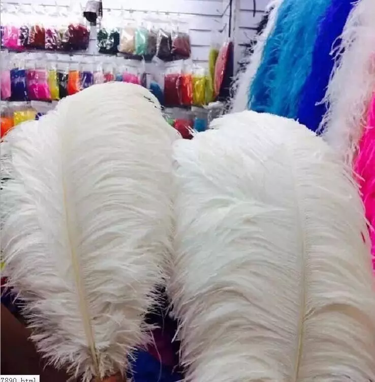 5 piezas plumas de avestruz grandes blancas de 28-30 pulgadas/pluma/ala/plumas de caballo Foto 4 de 4