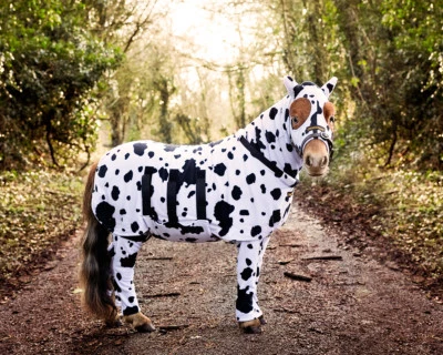 DREAMCHASER EQUESTRIAN HORSE ALL IN ONE'S - Vlies Ganzkörperanzug / Vlieshaube / Vliesteppich