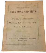 Rare Bred Sows & Gilts Public Auction 1921 Mt...