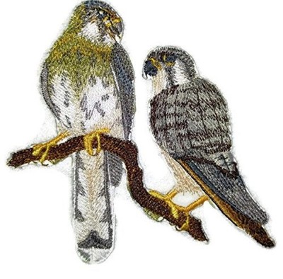Nature weaved in threads, Amazing Birds Kingdom [American Kestrel Pair] [Custom