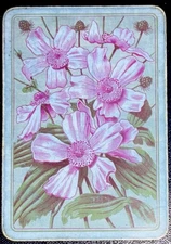 1 SWAP PLAYING CARDS Old English Wide Flowers Leaves