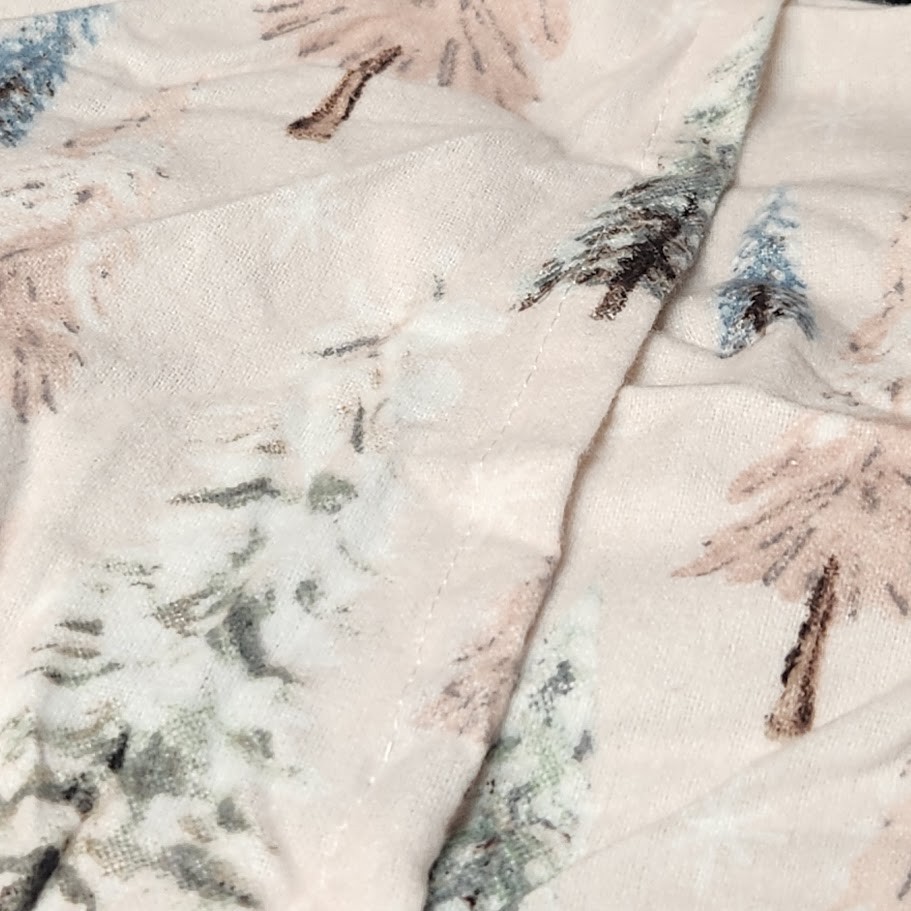 Pottery Barn Teen WINTER WONDERLAND Set Twin Duvet Cover and Standard Sham NIP