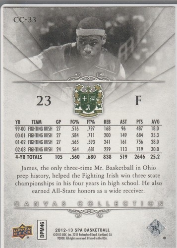 LeBRON JAMES SP Authentic CANVAS COLLECTION Insert Basketball Card HS #23 IRISH! - Picture 2 of 2