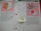 Foto 4 di 5