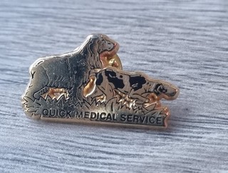 PINS QUICK MEDICAL SERVICE CHIEN ÉPAGNEUL DORÉ ARTHUS BERTRAND