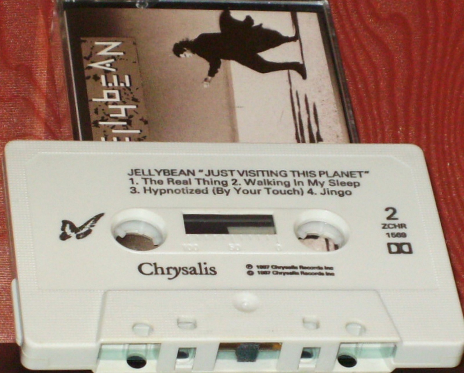 Picture 5 of 12